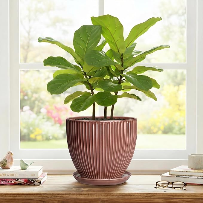 8 Inch Ceramic Flower Pots, Plant Pots Indoor with Drainage Hole and Saucer, Round Flower Pot for Indoor Plants, Decorative Modern Planter, Garden House Decor, Gardening Gifts, Rust Red