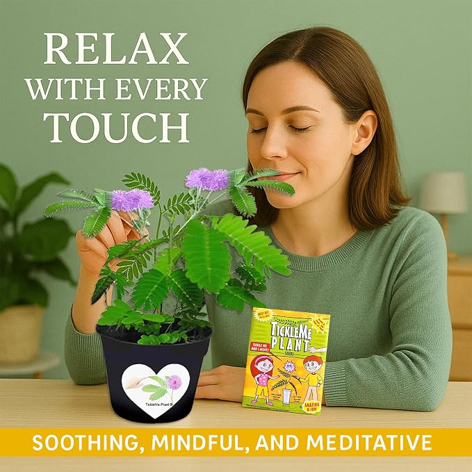 Birthday Gift for Mom – TickleMe Plant that Moves When Touched – Adult Plants Can Produce Pink Flowers – Unique Gift for Mom from Daughter, Son or Kids – Easy Indoor Grow Kit