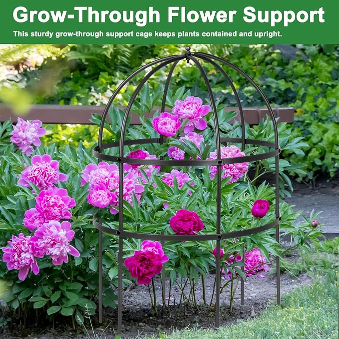 4 Pcs Jardin Bird Cage Plant Support 24" H Large Sturdy Grow-Through Flower Support Peony Cage Climbing Plant Support Trellis Sculptural Garden Decor for Perennial Flowers (Black)