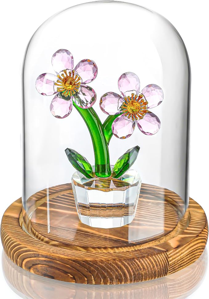 ZEERSHEE Cloche Glass Dome with Wooden Base, 5.5" x 3.9" Display Case | Clear Glass Cover, Stable Wood Base, Perfect for Flowers, Crafts, Candles & Collectibles