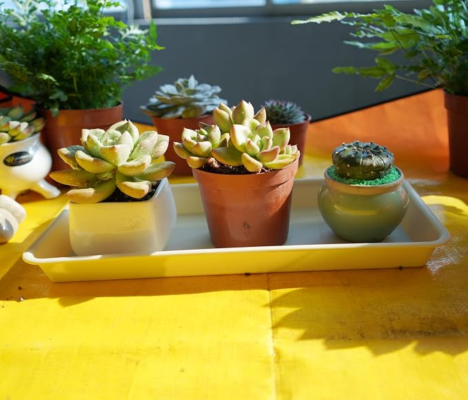 VUWEZ 2 Pack Plastic Plant Saucer, Rectangular 24 inch, Indoors/Outdoors, Drip Tray for Flower Pot, Windowsill (8 X 24'', Beige)