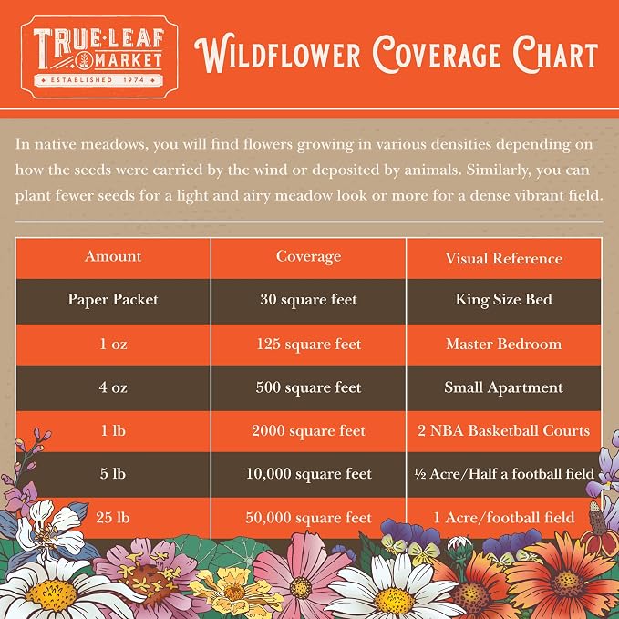 Mountain Valley Seed Co Wildflower Seeds Bulk, 2 Oz. 80,000+ Seeds | Butterfly & Hummingbird Mix with 23 Non-GMO Varieties – Pollinator Flower Seed for Planting