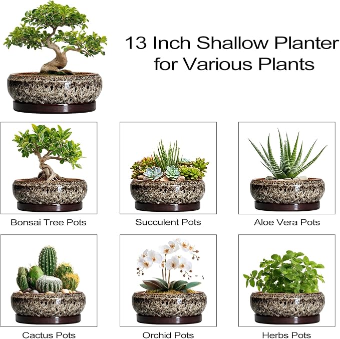 Bonsai Planter 13 Inch - Large Ceramic Succulent Planters, Shallow Plant Pot Indoor with Drainage Hole and Tray, Bonsai Pot, Round Bowl Planter Outdoor, House Decor, Housewarming Gift, White