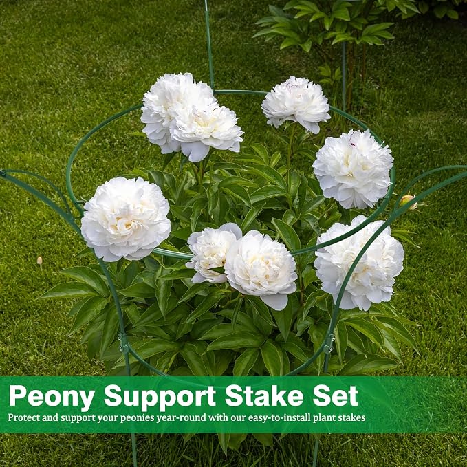6 Pack Peony Cages and Supports Cages 13" D x 22.8" H Heavy Duty Metal Support Frame for Peonies & Roses Natural Bouquet Shape Garden Stakes for Outdoor Plants Flowers Ornamental (Green)