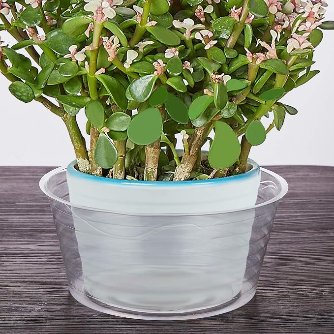 Idyllize 10 Pieces of 6 Inch Clear Thin Deep Plastic Plant Saucer Drip Tray for Pots (6'')