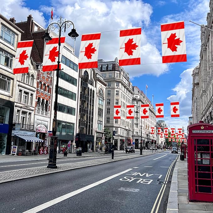 AhfuLife 2 Pcs Canada Flag 3 x 5 Ft, Large Canadian Flags for Outside - Double Side with Brass Eyelets for Olympic Party Decorations, Bar Garden Street Decoration Indoor Outdoor