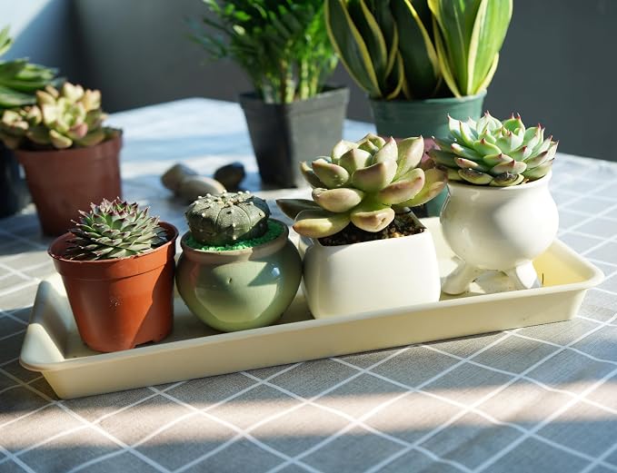 VUWEZ 2 Pack Plastic Plant Tray Saucer, Rectangular, Indoors Outdoor, Water Drip Tray for Flower Pot Planter, Windowsill (6 X 11 Inch, Beige)