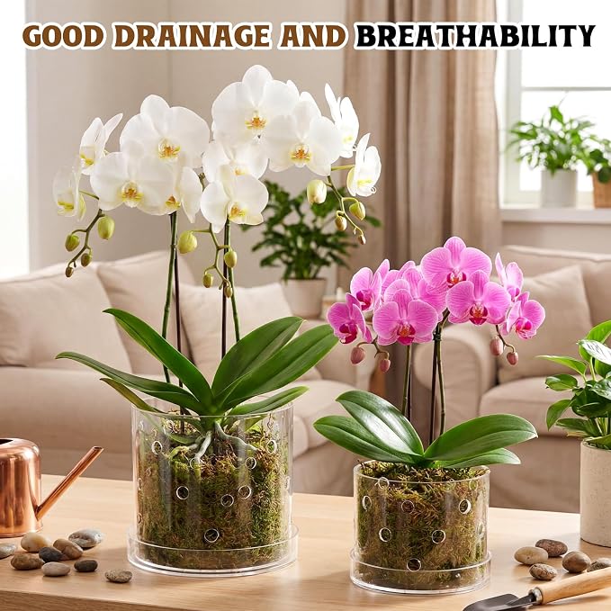 6 Inch 7 Inch Clear Acrylic Orchid Planter Pot with 360° Round Holes & Tray, Thick Acrylic Vented Planter for Phalaenopsis, Root Airflow, Bottom Watering & Indoor Orchid Repotting