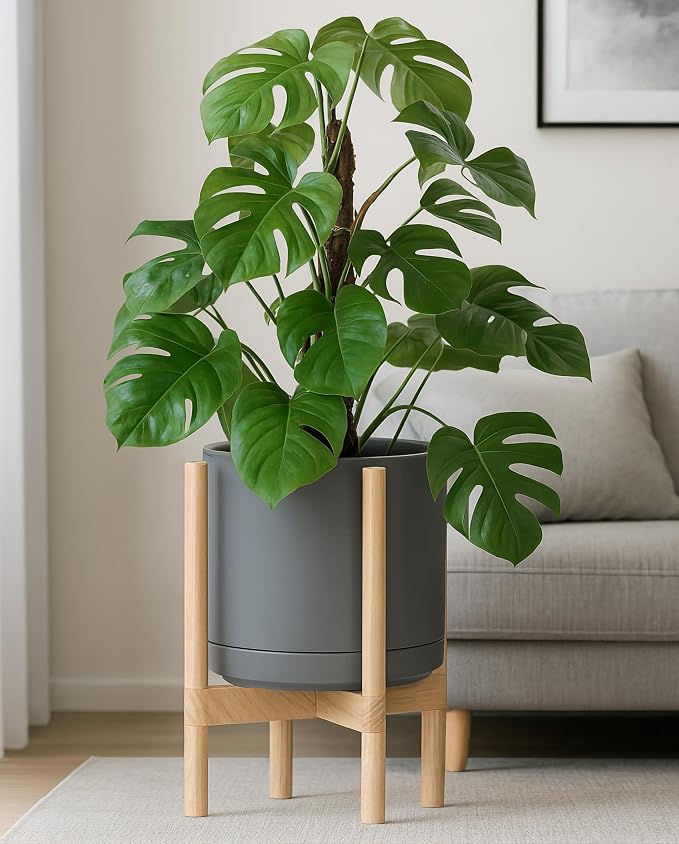 D'vine Dev Ceramic Planter with Natural Stand - 12 Inch Modern Round Flower Pot with Wood Planter Holder, Grey, 55-B-J-3