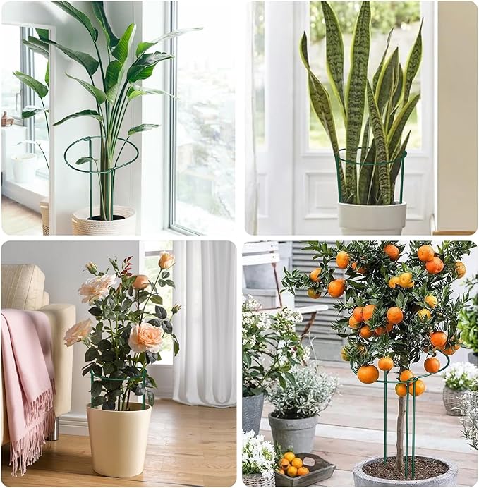 12 Pack Plant Support Stakes, 10" Wide x 24" High Half Round Metal Peony Cages and Support, Green Garden Plant Stake Plant Support Ring Border for Peony Tomato, Hydrangea, Flower Indoor Outdoor