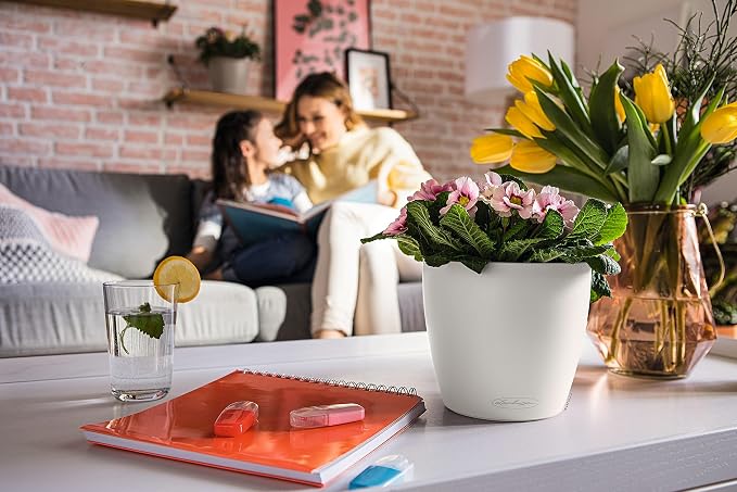 LECHUZA Classico Color 18 Garden Small Flower Plant Pot Indoor Outdoor Table Plastic Planter with Drainage Hole D19 H17 cm White
