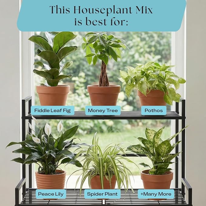 Rosy Soil Houseplant Potting Soil, 8 Quarts, Pack of 2 | Organic Indoor Potting Mix with Biochar and Worm Castings, For Monstera, Pothos, Tropical Indoor Plants, Peat Free
