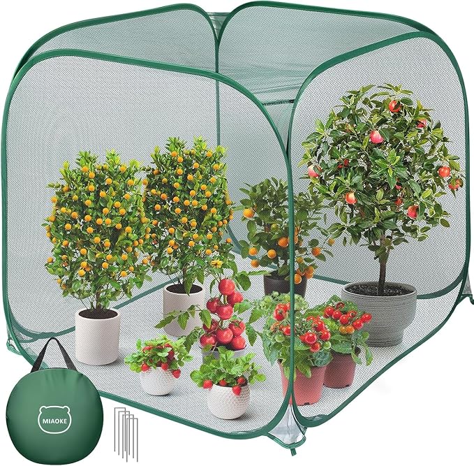 2 Pack Pop Up Mesh Plant Cover, 35.4x35.4x38.2 Inch No Build Protection Against Insects Garden Netting, Raised Bed Cover for Barrier Against Insects for Vegetable Plant Fruit Animals