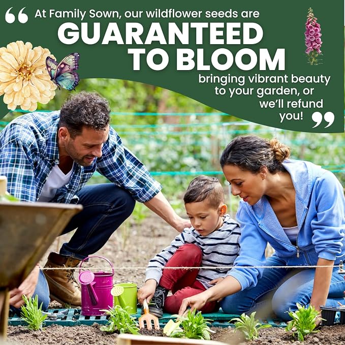 Foxglove Mixed Colors – 800 Seeds for Planting – 2026 Season – 5 Gram Pouch
