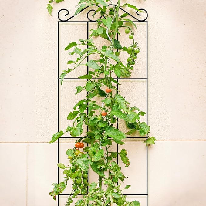 ARIFARO 57.5'' Metal Garden Trellis for Climbing Plants,(Pack of 4) Indoor/Outdoor Sturdy Plant Trellis for Potted Plants,House Plants, Climbing Vines, Black