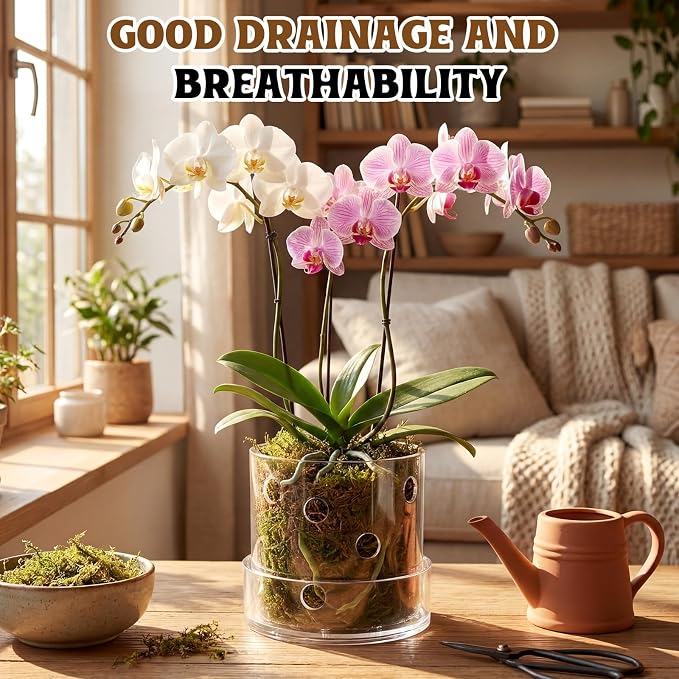 4 Inch Clear Acrylic Orchid Planter Pot with 360° Round Holes & Tray, Thick Acrylic Vented Planter for Phalaenopsis, Root Airflow, Bottom Watering & Indoor Orchid Repotting