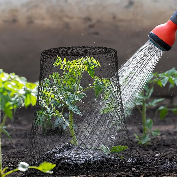 Geosar 20 Pcs 9 Inch Chicken Wire Cloche Plant Protector Cover Metal Garden Cloche Netting Protection Cages Vegetables Flowers with Garden Stakes Avoiding Chicken Rabbit Squirrels Birds (Black)