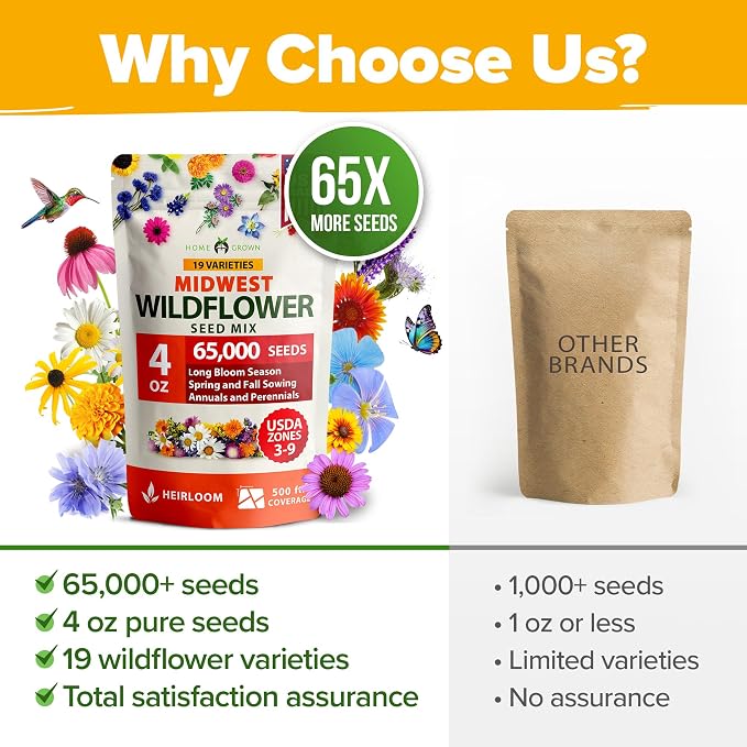 HOME GROWN Midwest Wildflower Seeds Mix | 65,000+ Heirloom Perennial Flower Seed for Attracting Bees, Birds & Butterflies | High Germination Bulk Planting | 4 oz