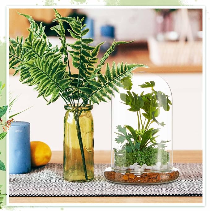 1 PC 5.9 x 7.9 Inch Glass Terrarium Dome Cloche with Air Hole & Glass Base, Clear Terrarium Containers Ventilated Plant Humidity Dome for Carnivorous Plants Orchids Tropical Cuttings, No Leakage