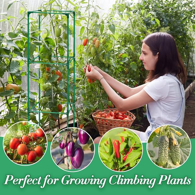 3 Pack Tomato Cage for Garden, Upgraded Fiberglass Garden Trellis with 3 PCS Grow Bags, Square Tomato Planter Support Garden Cages for Cucumber Vegetables Vertical Climbing Plants