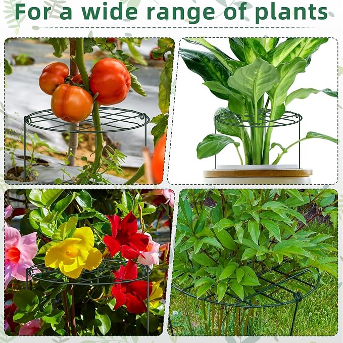 10 Pack Peony Cages and Supports 12 x 16 Inch Grow Through Plant Supports for Outdoor Plants,Plant Brace Flower Support Rings Hoops for Vegetables,Rose,Tomato,Orchids