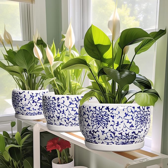 SQOWL Ceramic Pots for Plants - 8 inch Ceramic Planter with Drainage Hole and Saucer, Round Flower Pots for Indoor Plants, Porcelain Planter Outdoor, Porch Decor, Gifts for Women Men, Blue and White