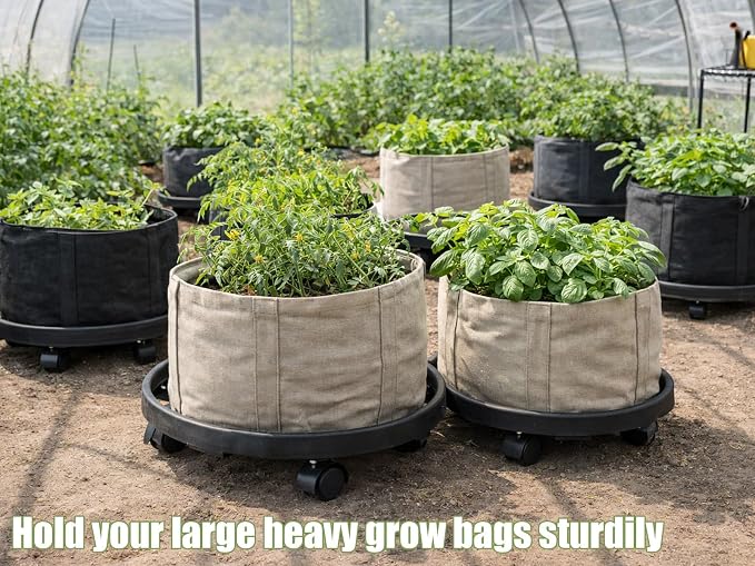 5-pack 11.8" Large Plant Caddy with Wheels Plastic Plant Dolly with Locking Caster Flower Pot Mover Rollers Wheeled Rolling Plant Stands Round Plant Saucer on Wheels Indoor Outdoor Base Coasters Black