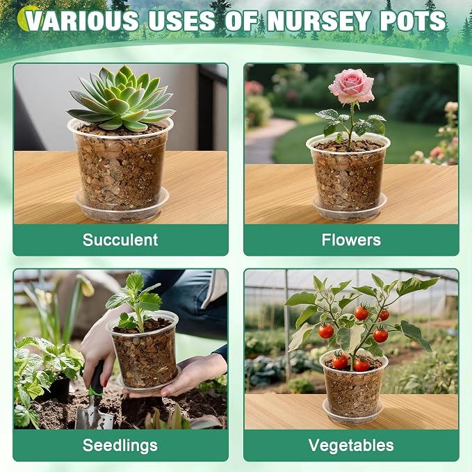 RAOOKIF 8 Inch Nursery Pots with Saucers, 6 Pack Clear Nursery Pots with Drainage Hole for Indoor Outdoor, Large Size Plastic Clear Pots for Plants for Flowers, Succulents, Vegetables