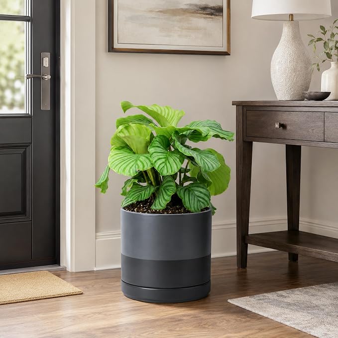 D'vine Dev 10 Inch Ceramic Planter Pot with Drainage Hole and Saucer, Indoor Cylinder Round Planter Pot, Slate, 94-O-E-5