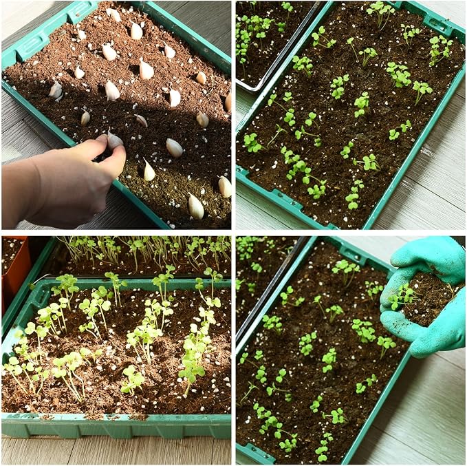 YoleShy 10 Pack Seed Starter Tray Reusable Plastic Plant Seedling Starter Trays Thickened Sturdy Durable for Germination Growing Microgreens Planting Propagation, Without Drain Holes, 14.5"x9", Green