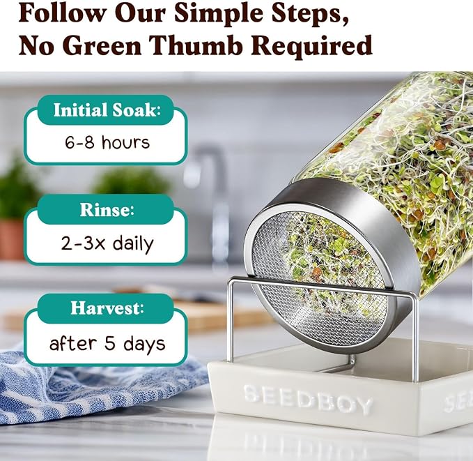 Seedboy Organic Non-GMO Sprouting Seeds, Superfood Blend - USA Grown Microgreens Mix with Broccoli, Radish, Pak Choi, Clover, Red Kale - 8 oz Makes 8 Quarts / 32 Servings (Superfood Blend)