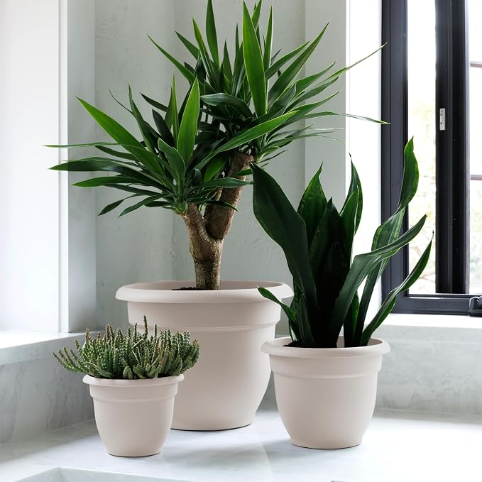 Bloem Ariana 8" Self-Watering Plastic Planter - Rolled Rim Indoor/Outdoor Garden Pot, Vanilla Bean