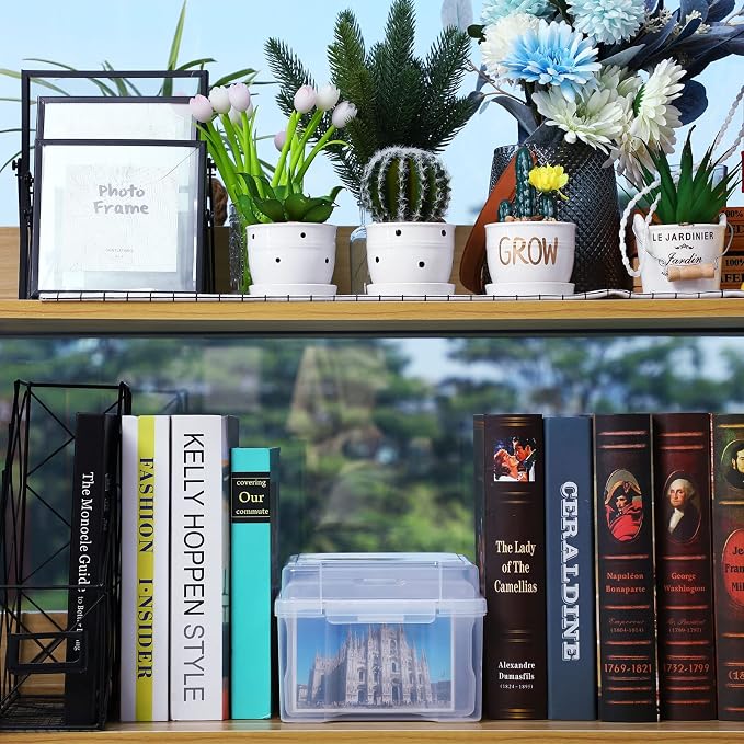 Yungyan 2 Count 4 x 6 Inch Photo Storage Boxes Craft Organizer Cases Picture 12 Inner Photo Cases Plastic Box Scrapbooking Clear Containers Storage Box for Photos Seeds Card Stamps Tasks Stickers