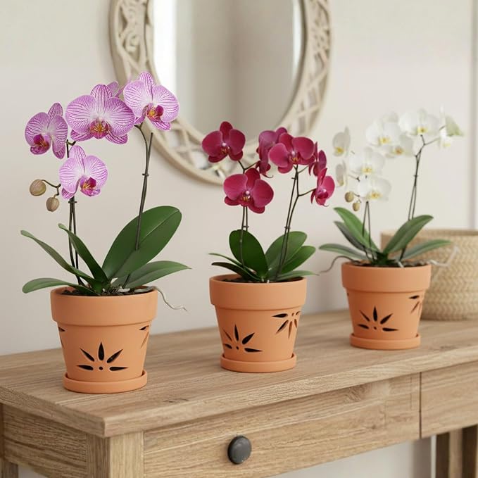 Handmade 3 Pack 6 inch Terracotta Orchid Pots with Holes and Saucers, Clay Orchid Planter Pots for Repotting, Small Terra Cotta Vase, Ceramic Plant Flower Pot Indoor Outdoor