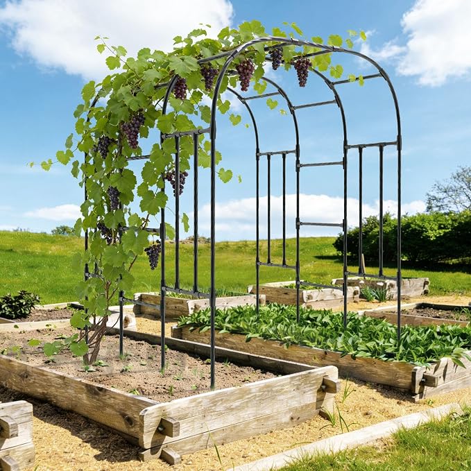 Garden Arch Trellis - 69" L*71" W*87" H, Rust-Proof Grape Trellis with Thickened Steel 20MM Pipe, Garden Arch Trellis for Climbing Plants Outdoor, Tunnel Trellis for Cucumber, Pumpkin, Melon
