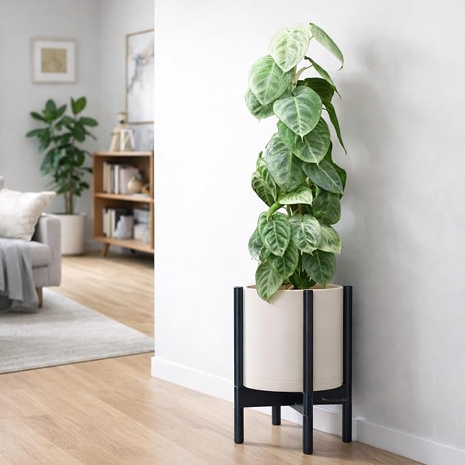 D'vine Dev Planter Pot with Stand - 10 Inch Plastic Cylinder Flower Pot with Wood Planter Holder for Indoor, Oatmeal Pot + Ebony Stand, 55-C-N-4