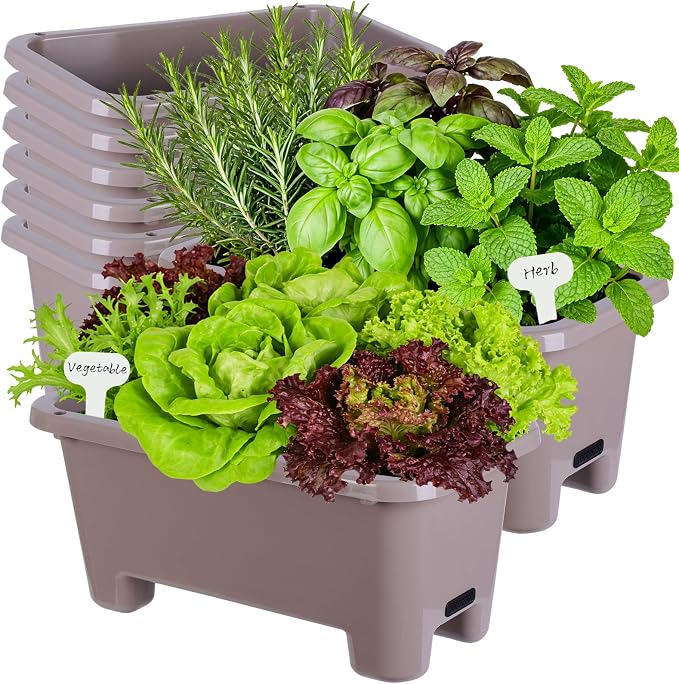 Oliz Self-Watering Rectangle Planter Boxes 8-Pack, 15.7-Inch Window Box Planter with Drainage Holes & Trays, Pots for Vegetables, Herbs, Flowers, Garden Windowsill Balcony (Coffee)