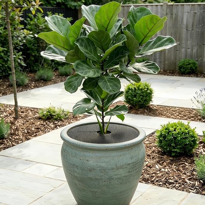 12Pcs Plant Pot Grids, 11.8 Inch Cuttable Plant Pot Soil Covers Protectors with 30 Metal Nails, Protector from Cats, Animals Digging Stopper, Suitable for Indoor and Outdoor Plants