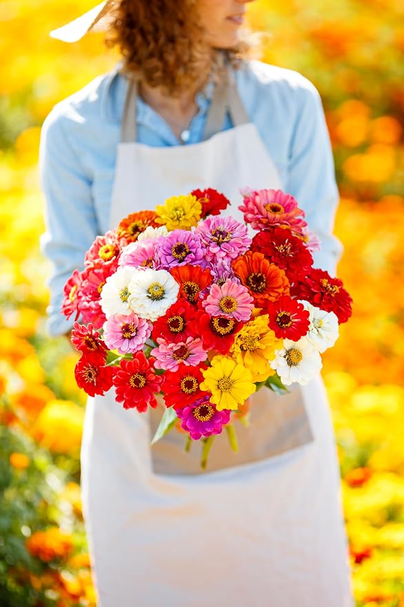 Eden Brothers California Giant Zinnia Seeds for 2026, 1 lb - 100% Pure, No Fillers (75+ Seeds) - Heirloom Non-GMO Zinnia Seed Mix, Large Blooms for Cut Flowers & Pollinator Gardens, Zones 3-10