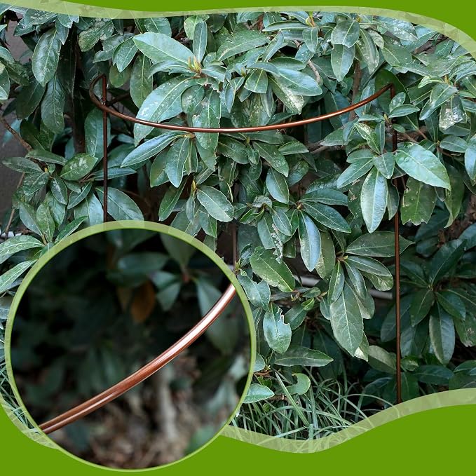 Vercraft 4 Pack 18 x 29 Inch Half Round Plant Support Stakes 1/4 Inch Heavy Duty Rustproof Metal Plant Cage, Weather Resistant Half Circle Garden Border Rings for Peony Hydrangea Rose Outdoor Flowers