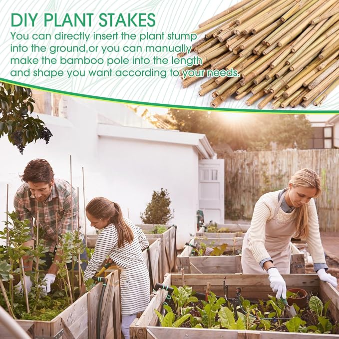 Suclain 60 Pcs Bamboo Plant Stakes Natural Garden Support Sticks for Climbing Plants Sturdy Bamboo Garden Stakes for Tomato, Beans, Flowers and Potted Plants, Vegetables, Indoor & Outdoor (2 ft)