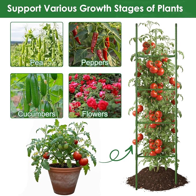 CEWOR Tomato Cage - 3 Pack Tomato Trellis, 63 Inch Tomato Cages for Garden, Extra Tall Plant Triangle Structures Garden Stakes for Climbing Plants Outdoor, Pots, Raised Garden Bed, Vegetables