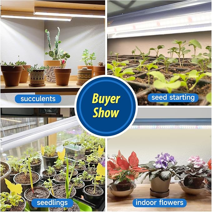 T5 Grow Lights for Seedlings, 10W x4, LED Grow Lights for Seed Starting | 16" Long Light Bars x4, Full Spectrum +660 nm Red, Plant Lights for Indoor Growing, 4000K White, Grow Strips for Shelf/Rack