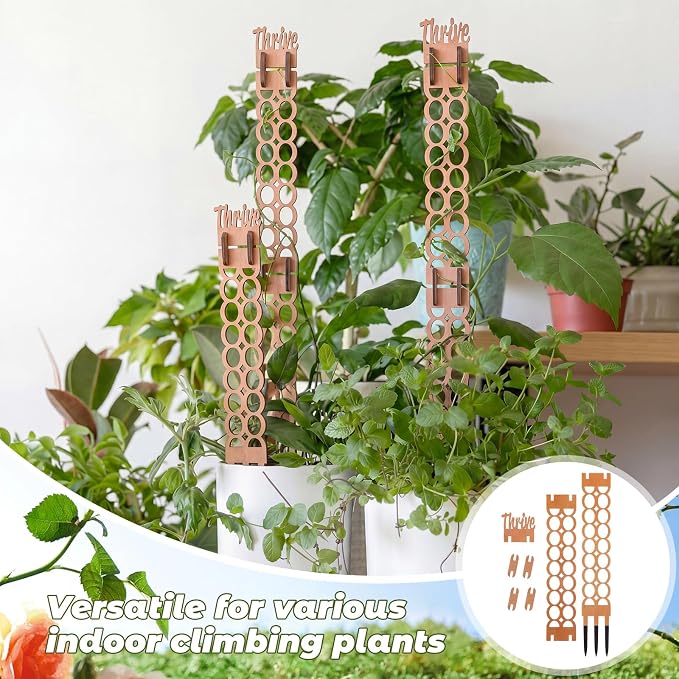6 Sets Wooden Extendable Plants Trellis Indoor Modular Plant Trellis with Wood Thrive Sign Decor and Extensions for Outdoor Climbing Houseplants Vine Flower Stem(Circle)