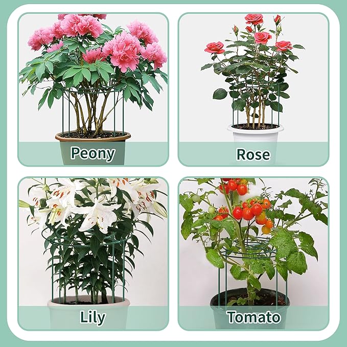8 Sets Peony Support Cage,12"Diax24"High Heavy Duty Metal Plant Support,Grow Through Hoops Grids with 4 Thickened 4mm Legs,Strong Support Brace for Heavy Blossoms,Flower Support Ring for Peonies,Rose