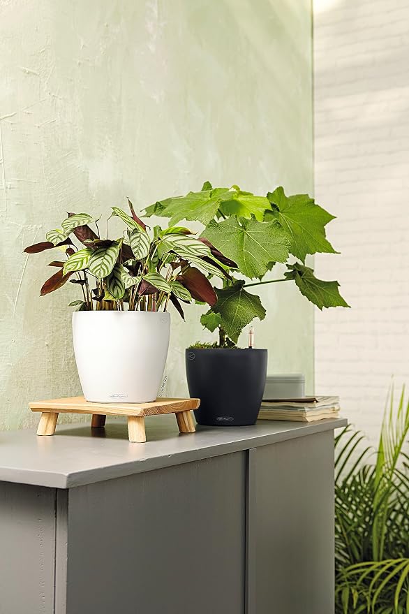 Lechuza Classico Color 28 White, Self-Watering Round Planter, D11 H10.2 in
