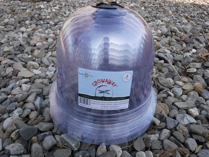 6-Pack! GrowAway Medium Reusable Plastic Mini Greenhouse, Cloche Dome, Plant Covers for Frost Guard Freeze Protection Outdoors, Garden Tools and Accessories - 10.24"Diam. x 7.48"H