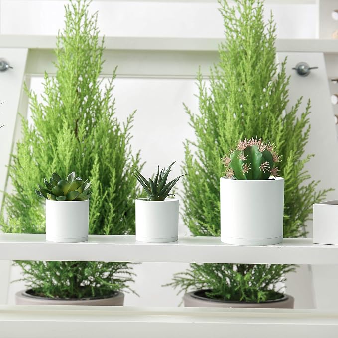 D'vine Dev 4 Inch 5 Inch 6 Inch, Set of 3 Plastic Planter Pots for Plants with Drainage Hole and Seamless Saucers, White Color, Small, 74-V-A-1