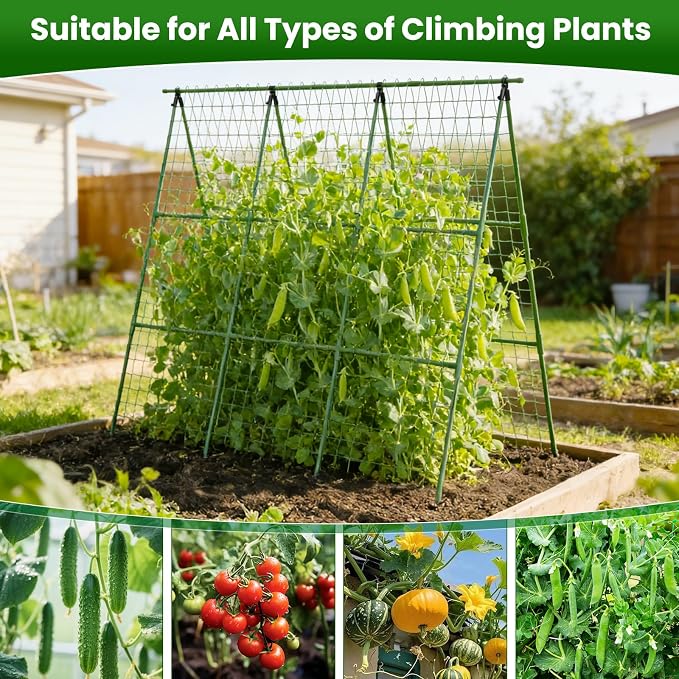 2 Pack Cucumber Trellis 48" L x 48" H, A-Frame Garden Trellis for Climbing Plants Outdoor, Vegetable Trellis for Raised Bed, Support for Squash Pea Zucchini Grape Flowers Tomato