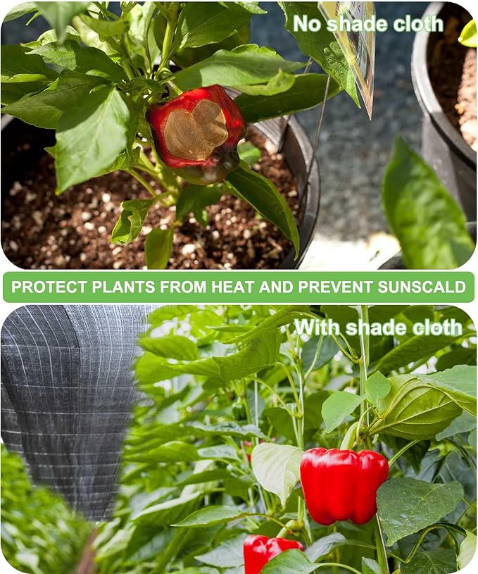 Mklsit Garden Shade Cloth, 70% 12 x 12 FT Resistant Sun Shade Net Mesh Tarp with Reinforced Grommets Outdoor Shade Cloth for Greenhouse, Plants, Tomatoes, Pergola, Patio Sunshade